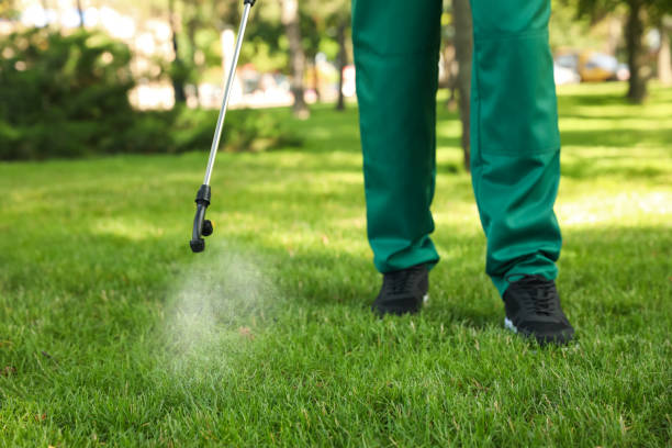 Best Pest Inspection Near Me  in Grandwood Park, IL